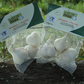 Storing | A guide to growing Quebec Music variety garlic | Organic | Le Petit Mas Growing canadian garlic : All you need to know about soil, seeds, planting, fertilizing, irrigating, weeding, harvest, drying and storing.