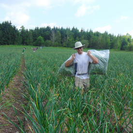 quand planter ail au quebec