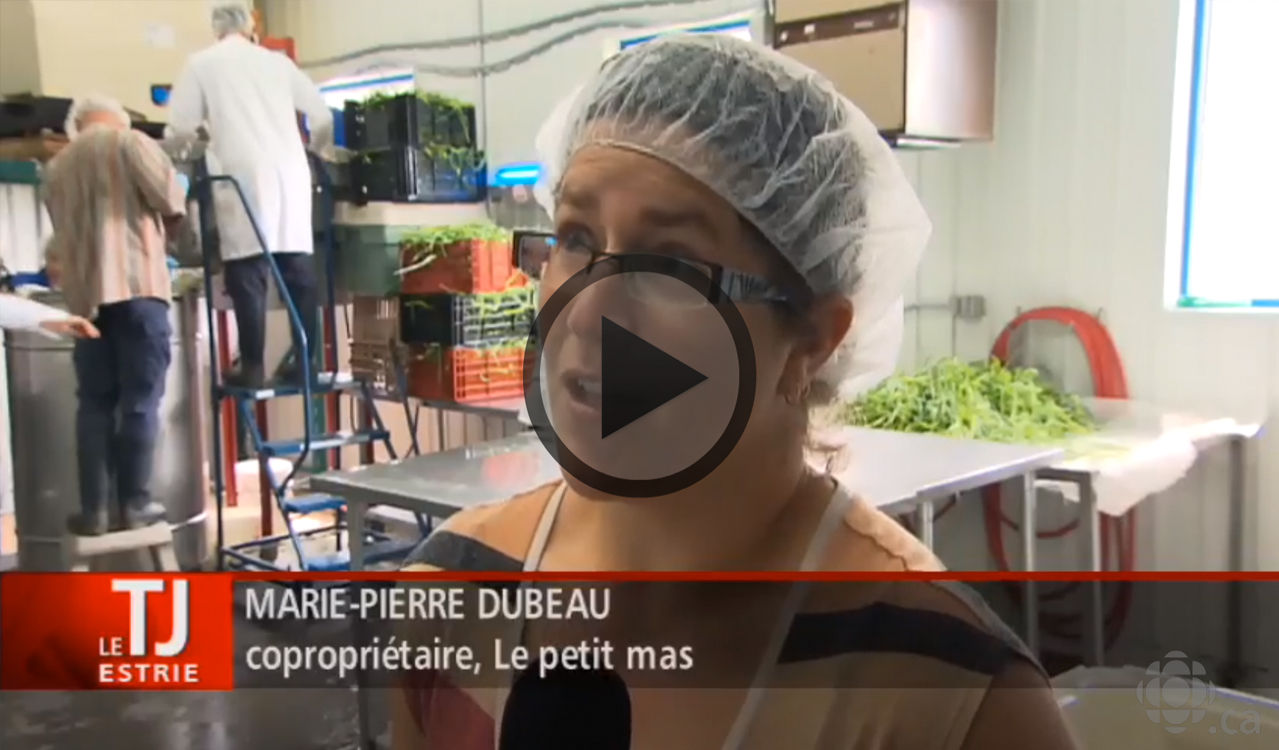 Le Petit Mas -They talk abour our garlic flowers (scapes) - Téléjournal Estrie - Radio-Canada 