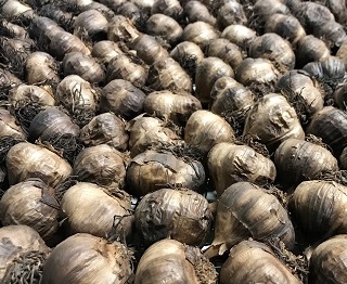 Le Petit Mas Organic black garlic bulk
