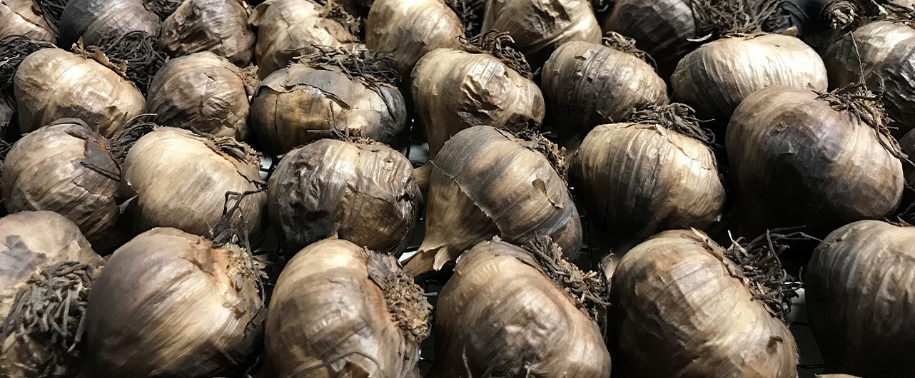 Organic black garlic - Le Petit Mas organic garlic growers