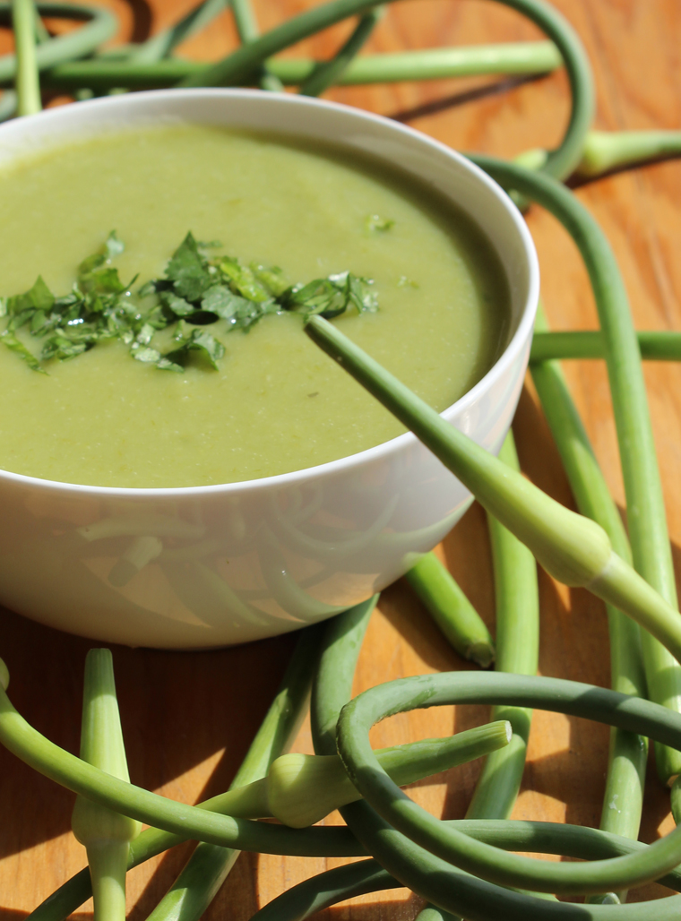 Recipe - Garlic scape soup - Recipes with fermented garlic scapes – Le Petit Mas organic garlic and garlic scape farm in Quebec (Canada) 